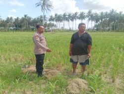 Kemandirian Pangan: Bhabinkamtibmas Dorong Warga Banyu Urip Bertani