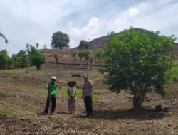 Polri Door to Door, Pastikan Lahan Produktif Warga Sekotong Aman