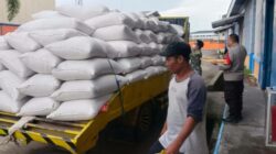 Kadar Air Ideal: Jagung Petani Lombok Terserap Bulog