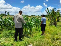 Gerakan Tanam Mandiri, Polisi Labuapi Ajak Warga Manfaatkan Pekarangan Kosong