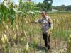 Polri Dorong Swasembada Pangan di Lombok Barat